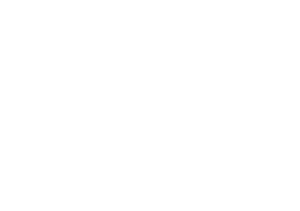 Logoinfonavit