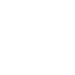 fovissste-logo